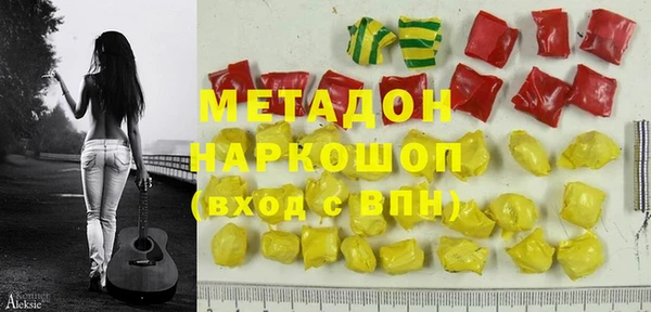 шишки Надым