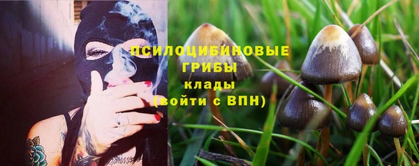 мескалин Нея