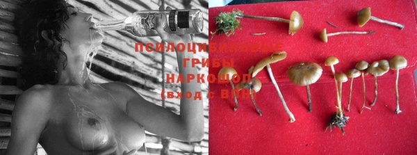 MDMA Premium VHQ Нефтегорск