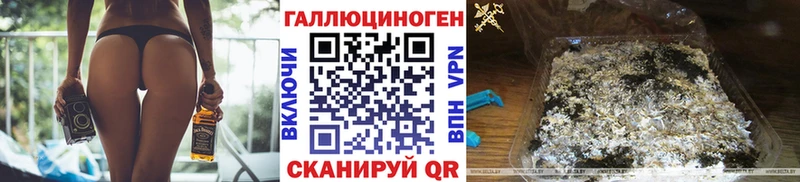 Псилоцибиновые грибы GOLDEN TEACHER купить наркоту Петропавловск-Камчатский